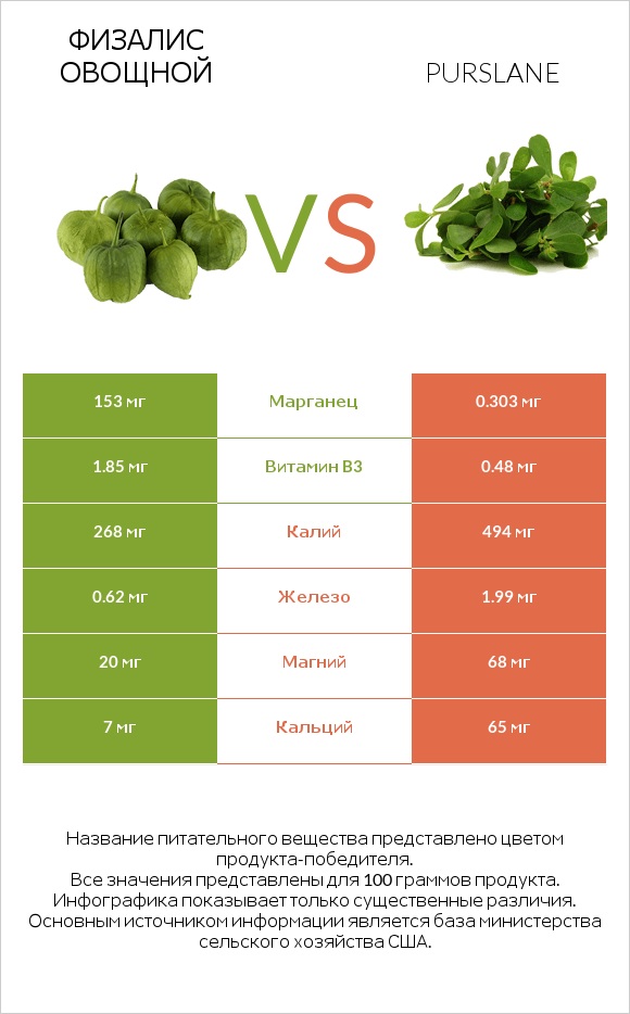 Физалис овощной vs Purslane infographic