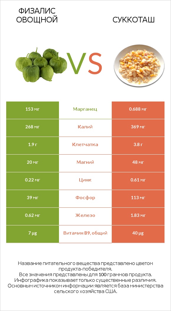 Физалис овощной vs Суккоташ infographic