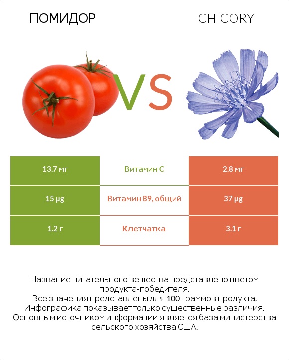 Помидор vs Chicory infographic