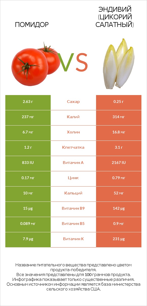 Помидор  vs Эндивий (Цикорий салатный)  infographic