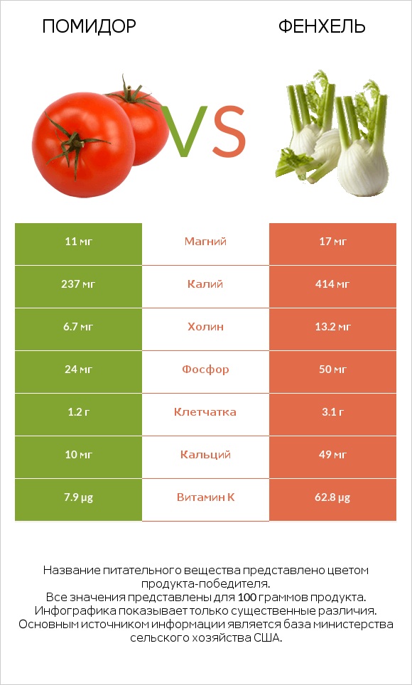 Помидор vs Фенхель infographic