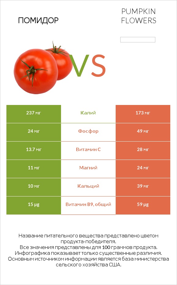 Помидор vs Pumpkin flowers infographic