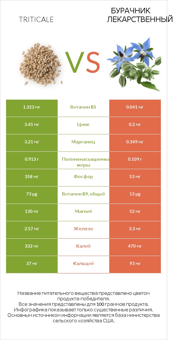 Triticale vs Бурачник лекарственный infographic