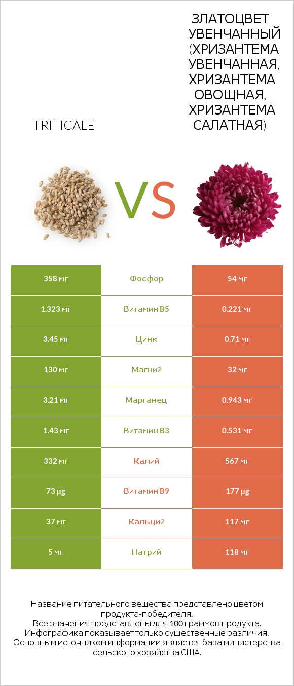 Triticale vs Златоцвет увенчанный (хризантема увенчанная, хризантема овощная, хризантема салатная) infographic