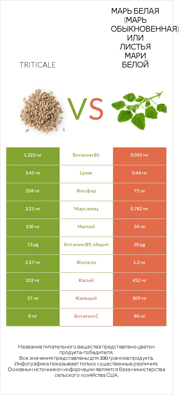 Triticale vs Марь белая (Марь обыкновенная) или Листья мари белой infographic