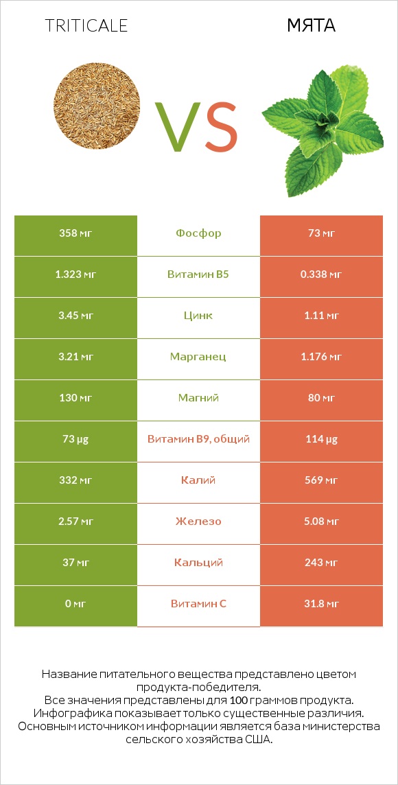 Triticale vs Мята infographic