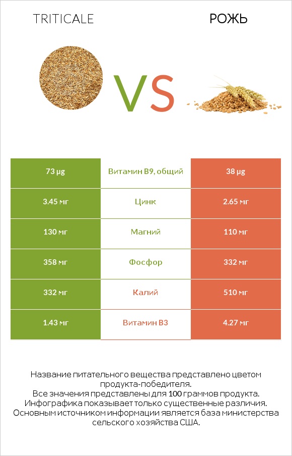 Triticale vs Рожь infographic