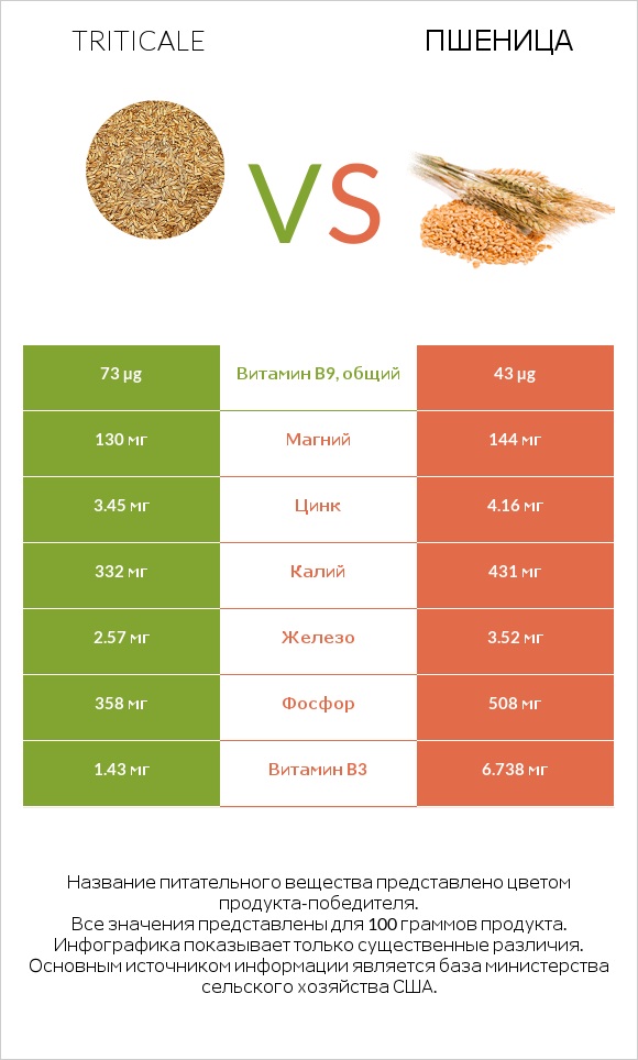 Triticale vs Пшеница infographic