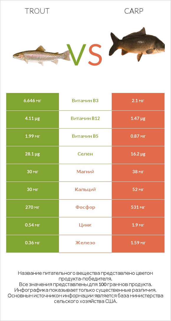 Trout vs Carp infographic