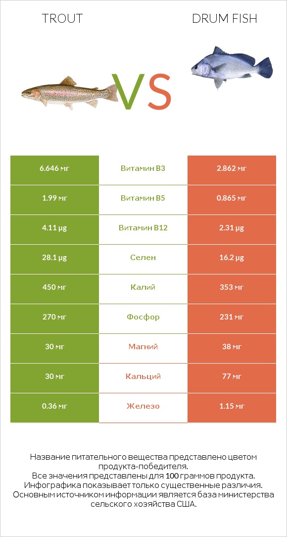 Trout vs Drum fish infographic