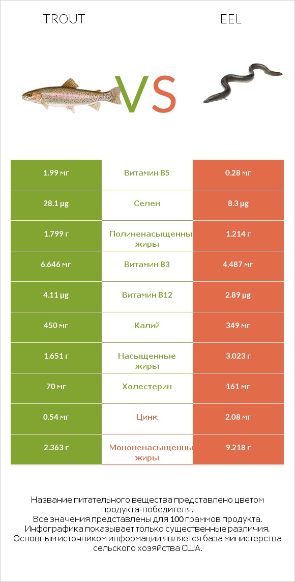 Trout vs Eel infographic