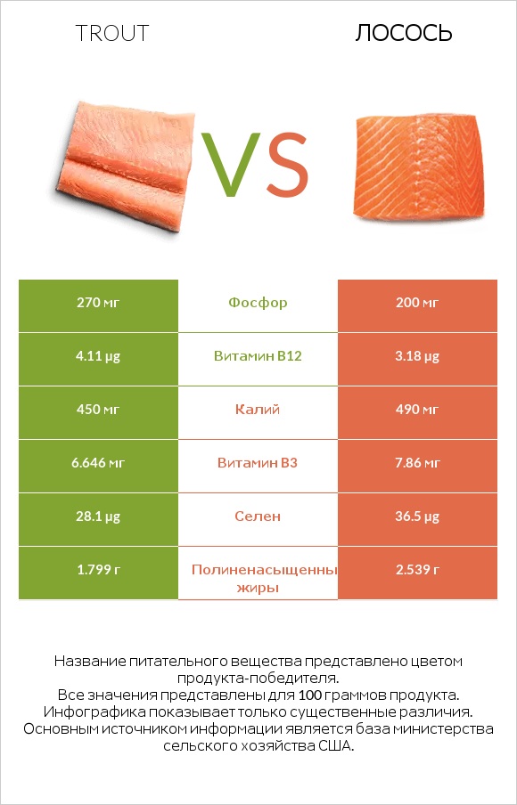 Trout vs Лосось сырая infographic