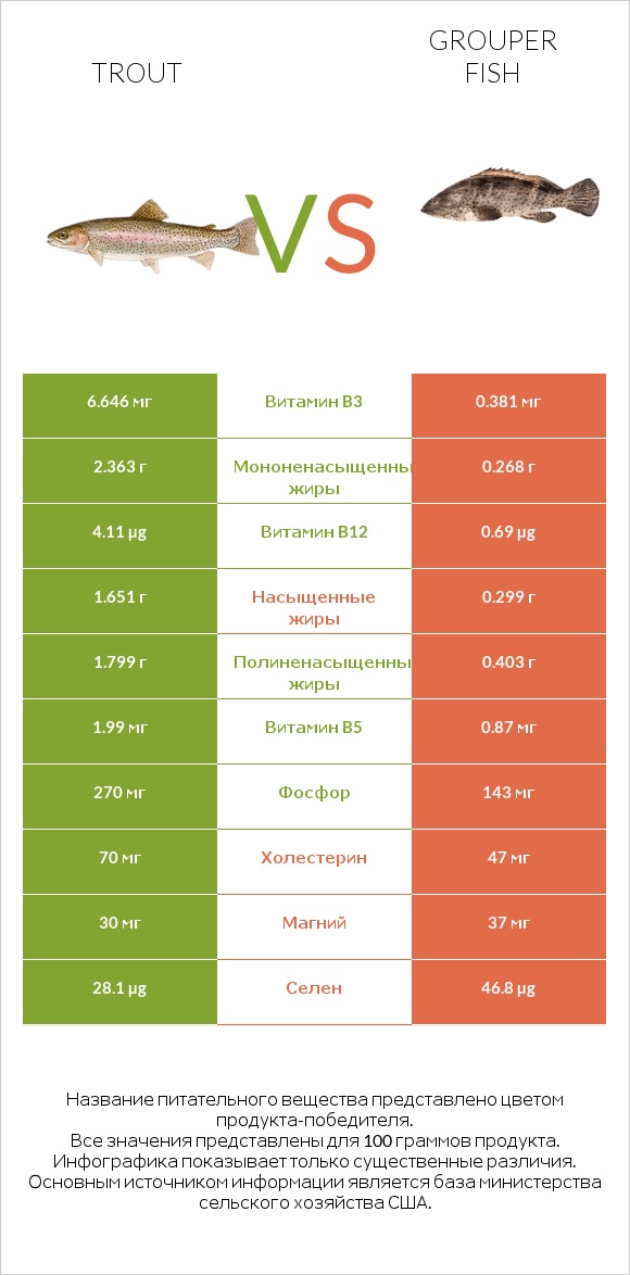 Trout vs Grouper fish infographic