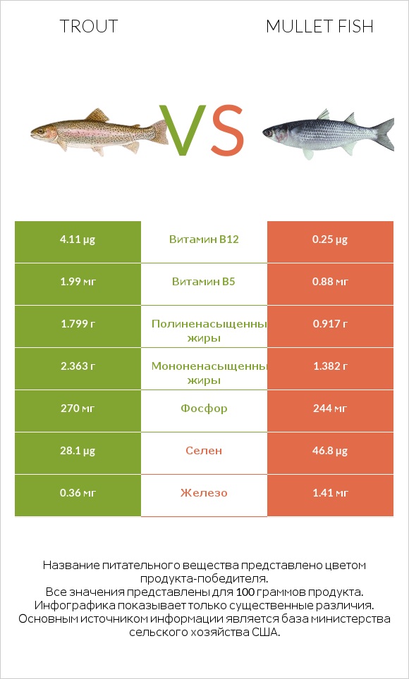 Trout vs Mullet fish infographic