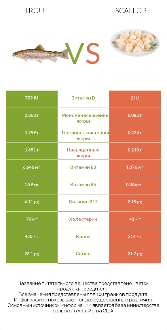 Trout vs Scallop infographic