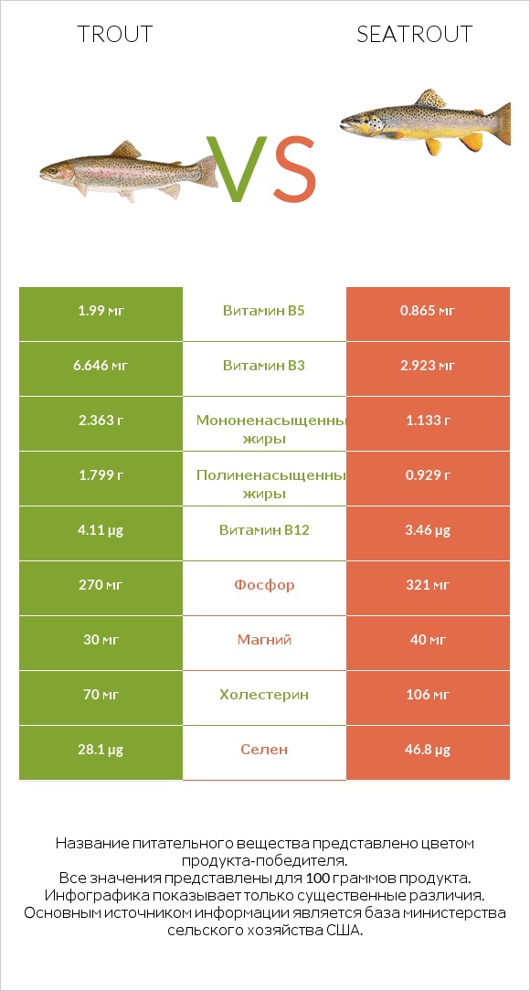 Trout vs Seatrout infographic