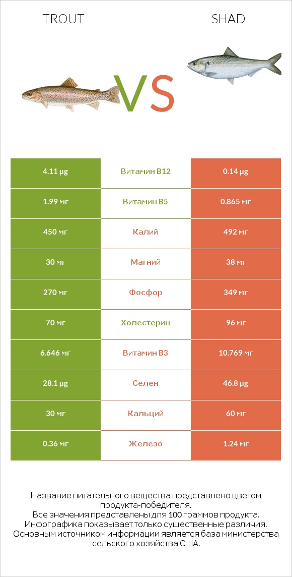 Trout vs Shad infographic