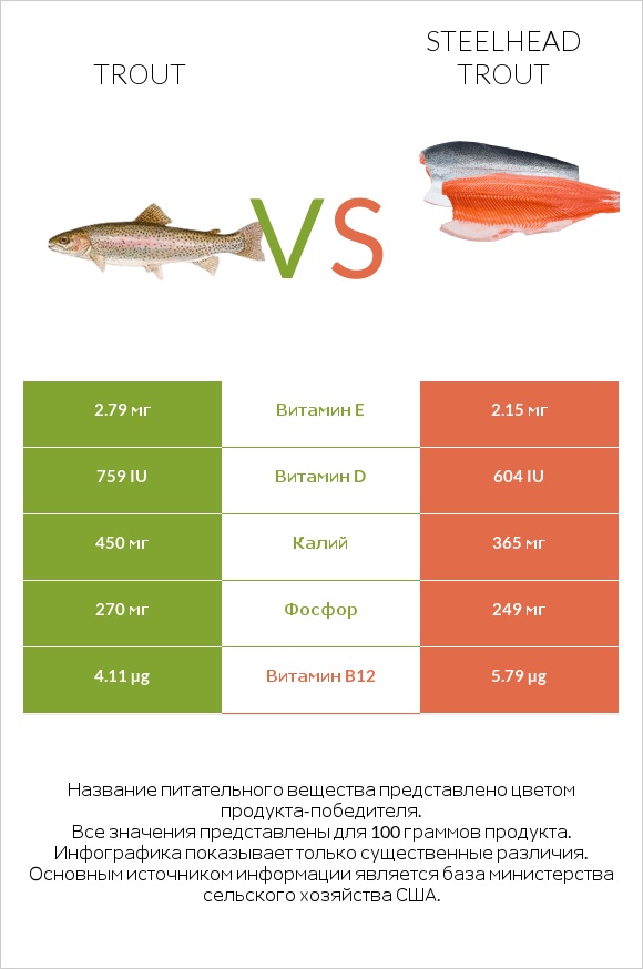 Trout vs Steelhead trout infographic