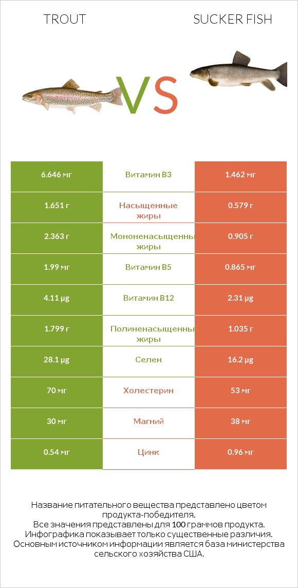 Trout vs Sucker fish infographic