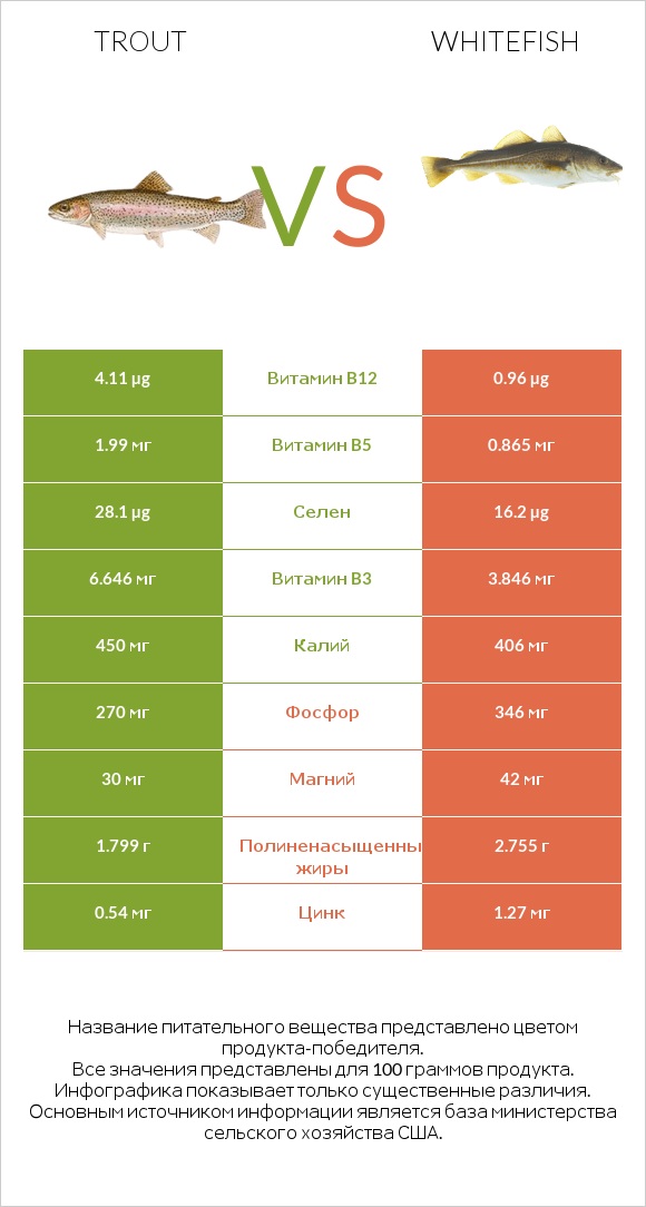 Trout vs Whitefish infographic