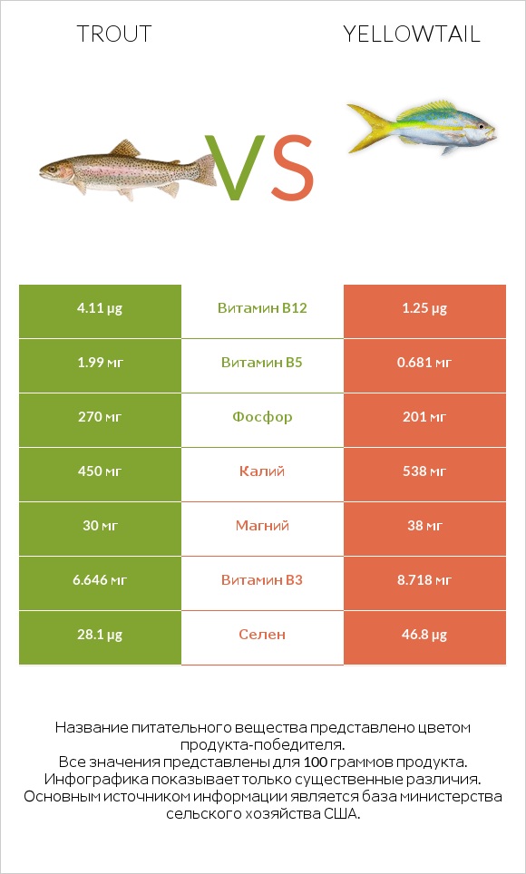 Trout vs Yellowtail infographic