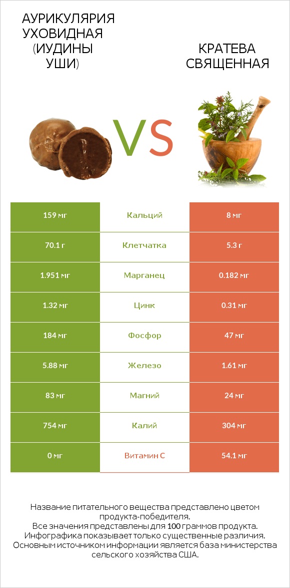 Аурикулярия уховидная (Иудины уши) vs Кратева священная infographic