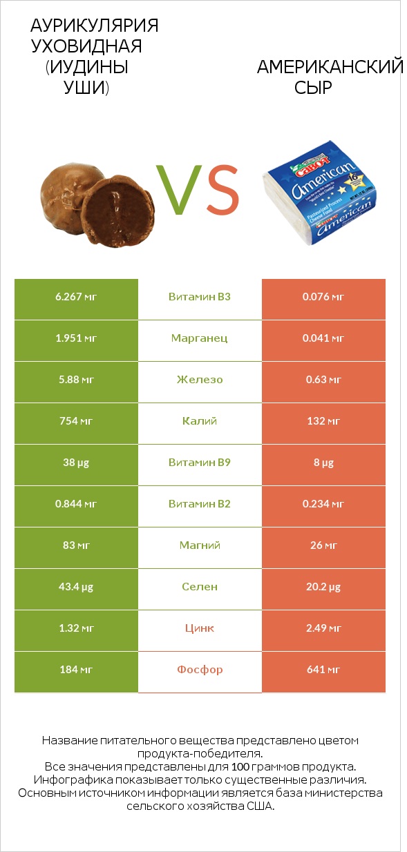 Аурикулярия уховидная (Иудины уши) vs Американский сыр infographic
