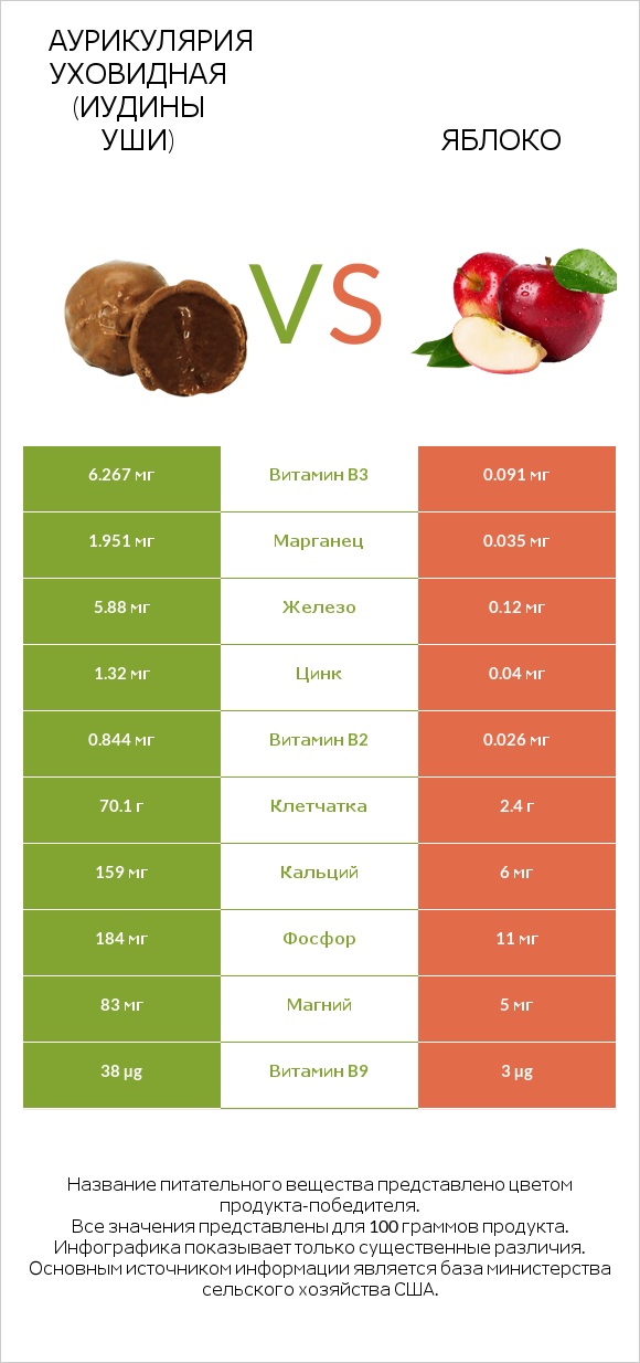Аурикулярия уховидная (Иудины уши) vs Яблоко infographic