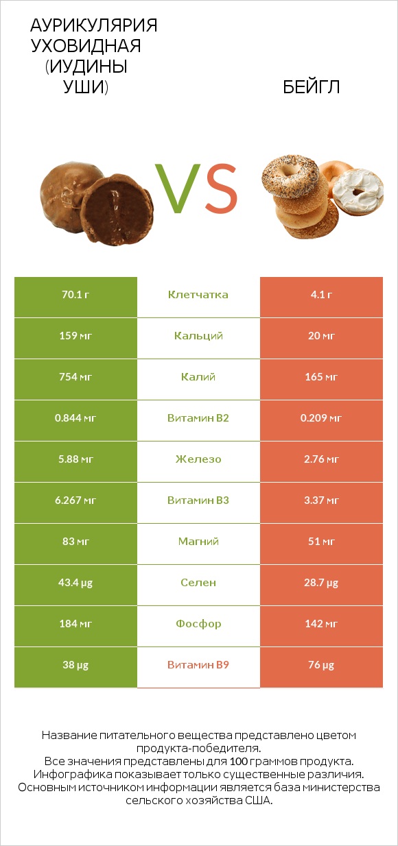 Аурикулярия уховидная (Иудины уши) vs Бейгл infographic