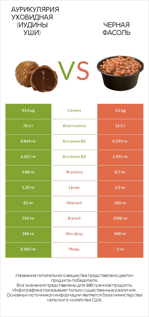 Аурикулярия уховидная (Иудины уши) vs Черная фасоль infographic