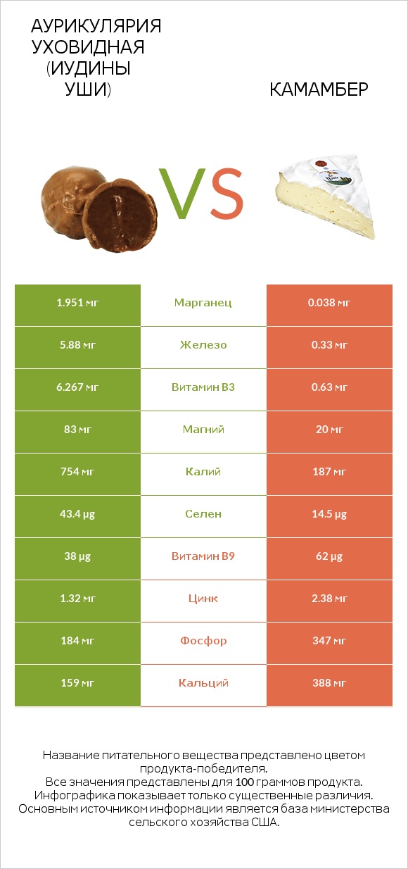 Аурикулярия уховидная (Иудины уши) vs Камамбер infographic