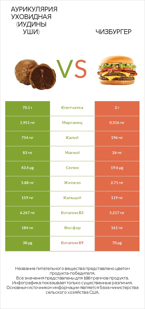 Аурикулярия уховидная (Иудины уши) vs Чизбургер infographic