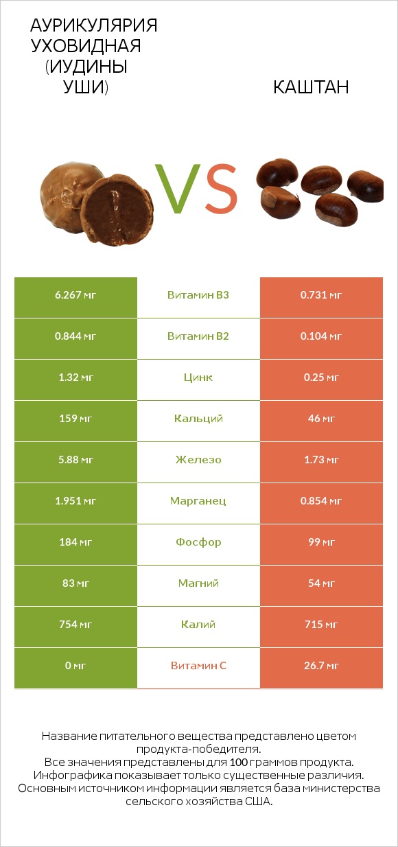 Аурикулярия уховидная (Иудины уши) vs Каштан infographic