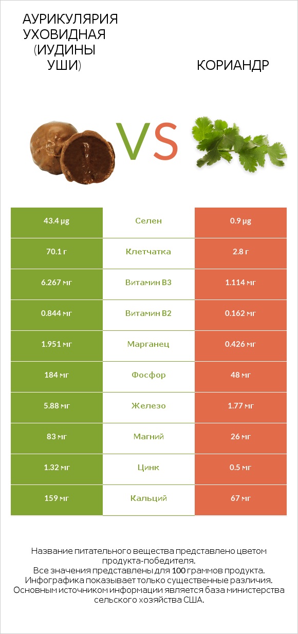 Аурикулярия уховидная (Иудины уши) vs Кориандр infographic