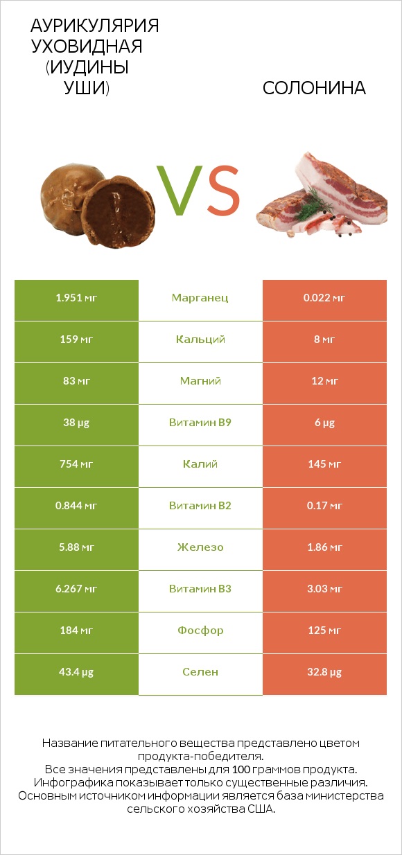 Аурикулярия уховидная (Иудины уши) vs Солонина infographic