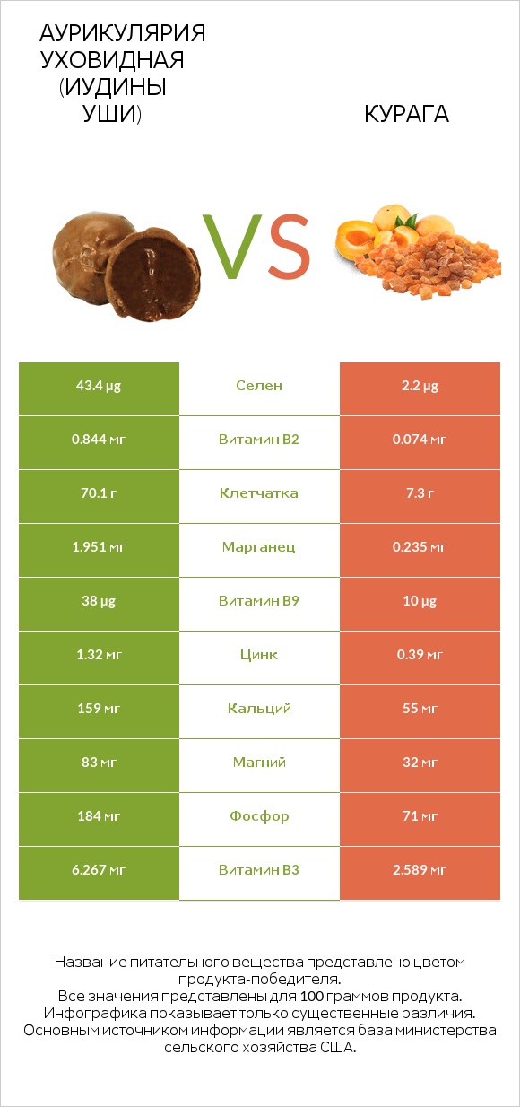 Аурикулярия уховидная (Иудины уши) vs Курага infographic