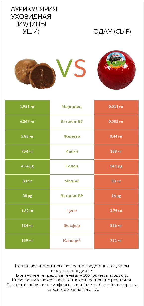 Аурикулярия уховидная (Иудины уши) vs Эдам (сыр) infographic