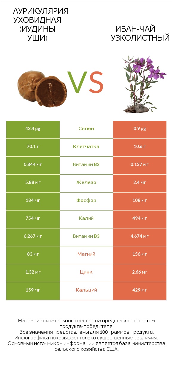 Аурикулярия уховидная (Иудины уши) vs Иван-чай узколистный infographic