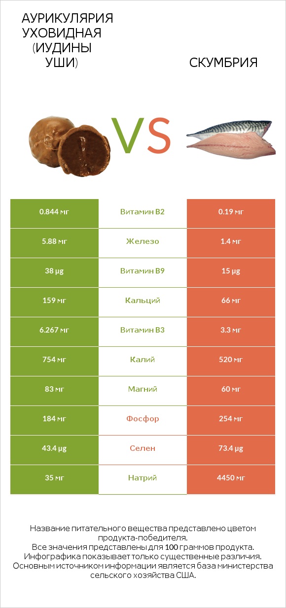 Аурикулярия уховидная (Иудины уши) vs Скумбрия infographic