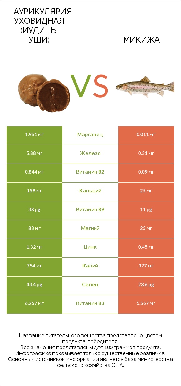 Аурикулярия уховидная (Иудины уши) vs Микижа infographic