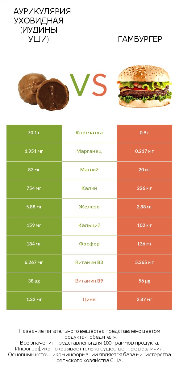 Аурикулярия уховидная (Иудины уши) vs Гамбургер infographic