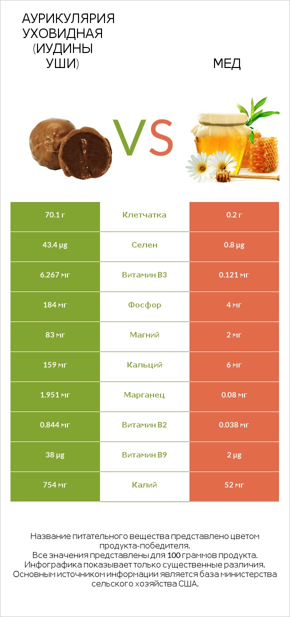 Аурикулярия уховидная (Иудины уши) vs Мед infographic