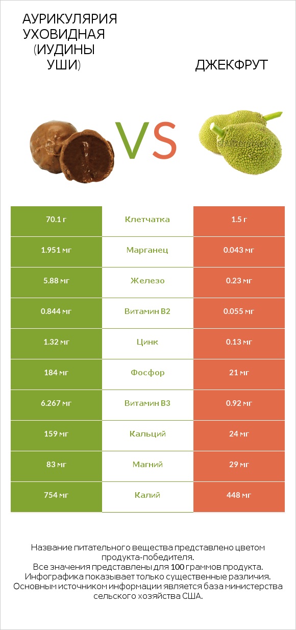 Аурикулярия уховидная (Иудины уши) vs Джекфрут infographic