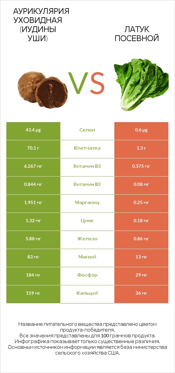 Аурикулярия уховидная (Иудины уши) vs Латук посевной infographic