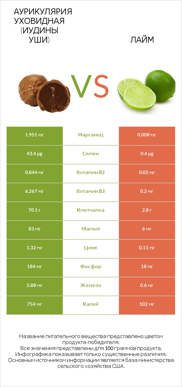 Аурикулярия уховидная (Иудины уши) vs Лайм infographic