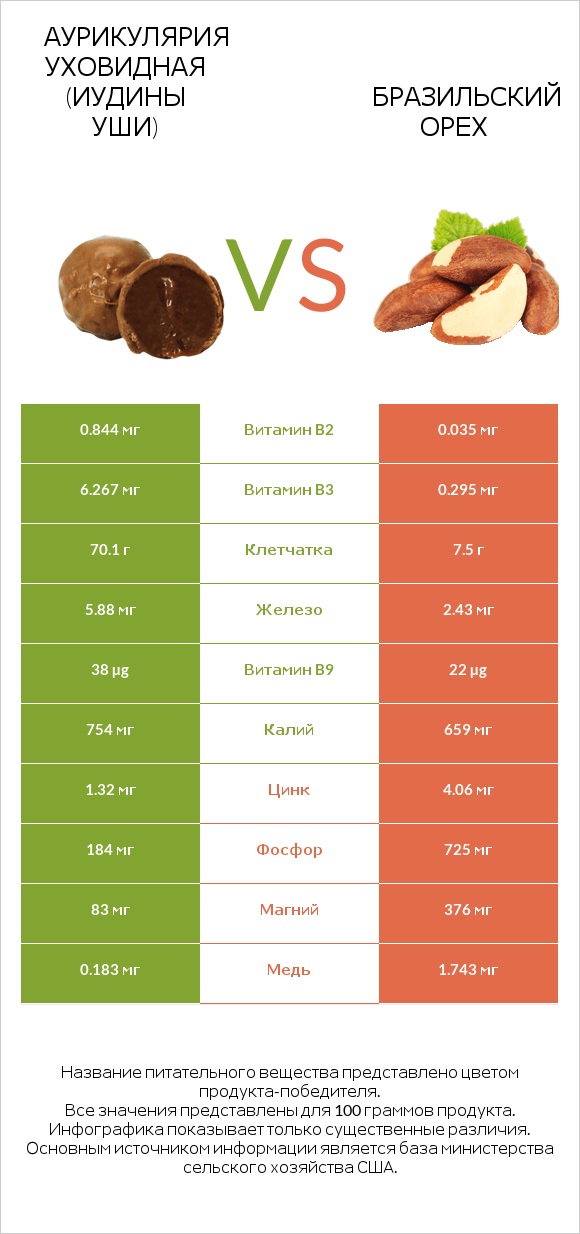 Аурикулярия уховидная (Иудины уши) vs Бразильский орех infographic