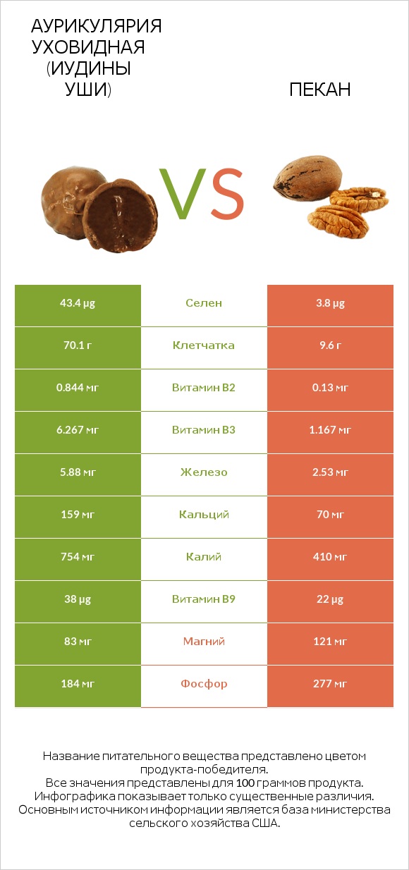 Аурикулярия уховидная (Иудины уши) vs Пекан infographic