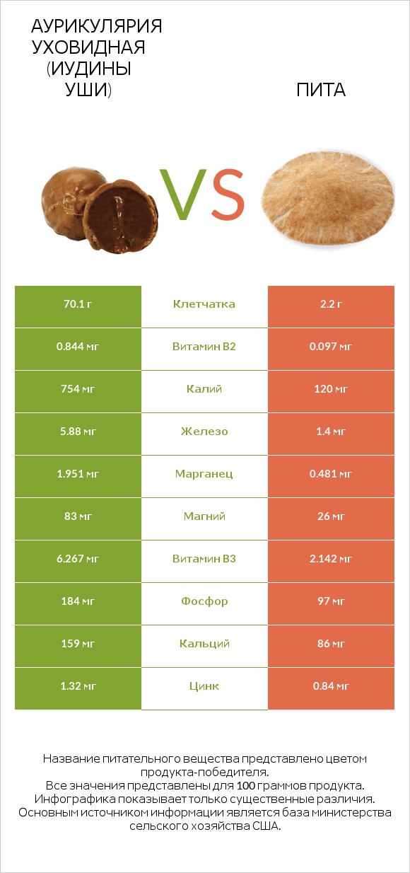 Аурикулярия уховидная (Иудины уши) vs Пита infographic