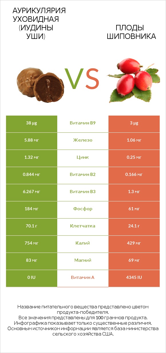 Аурикулярия уховидная (Иудины уши) vs Плоды шиповника infographic