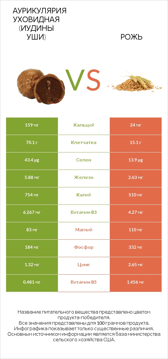 Аурикулярия уховидная (Иудины уши) vs Рожь infographic